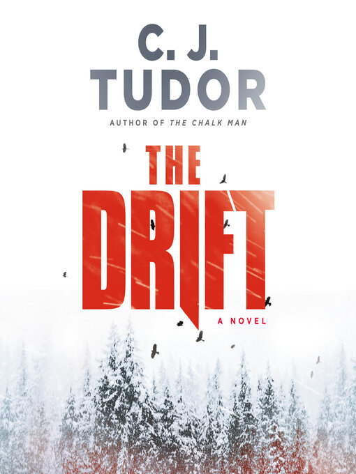 Cover image for The Drift